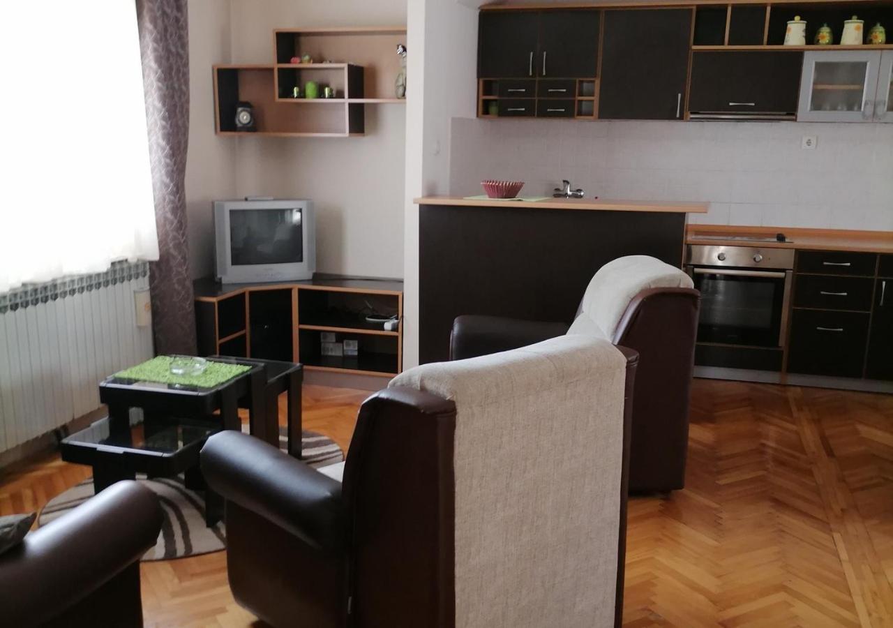 Apartman Arsic 3 Vrnjačka Banja Exterior foto